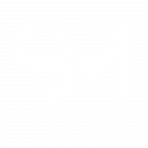 Savvy Media Png Logo